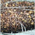 fábrica profesional de granos de café negro